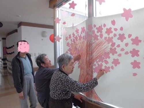 南桜4