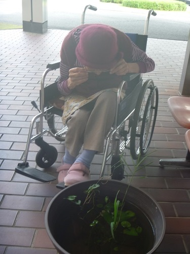 散歩1