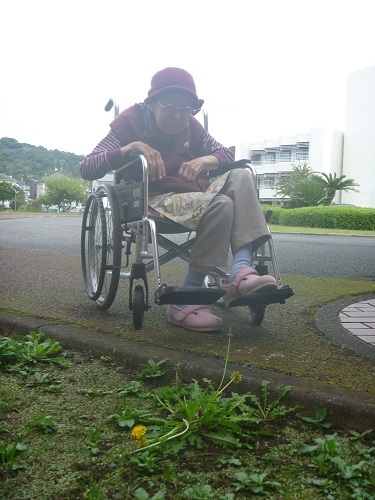 散歩4